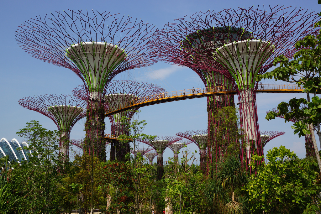 tour-du-lich-singapore-the-garden-by-the-bay