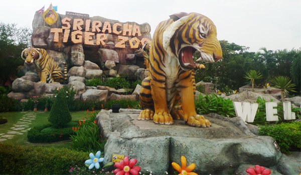 vuon-thu-siracha-tiger-zoo-bangkok-thai-lan