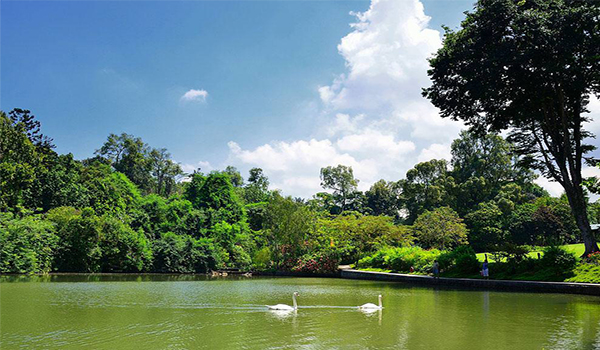 botanic-gardens-singapore-tour-4-ngay