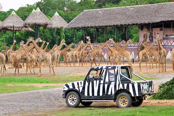 du-lich-thai-lan-tham-quan-safari-world