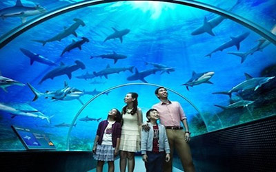 tour-singapore-tham-quan-thuy-cung-sea-aquarium
