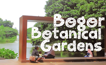 vuon-thuc-vat-bogor-botanical-garden