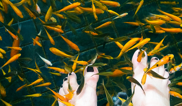 suoi-nuoc-nong-tang-wei-gou-dai-loan