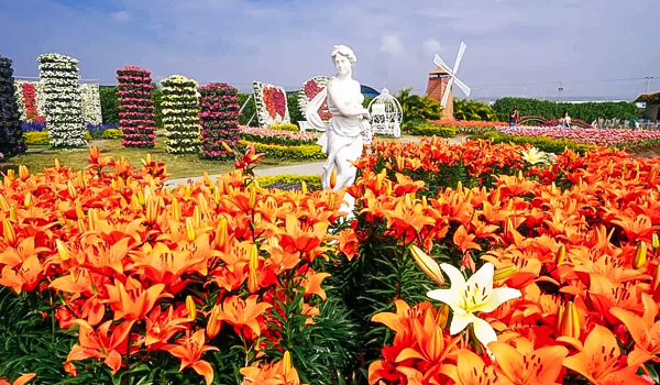 vuon-hoa-trung-xa-dai-loan